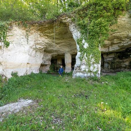Logis De Bois Roche Villa Saint-Bonnet-sur-Gironde Kültér fotó