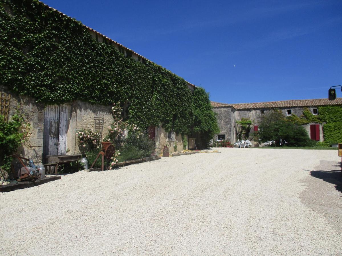 Logis De Bois Roche Villa Saint-Bonnet-sur-Gironde Kültér fotó