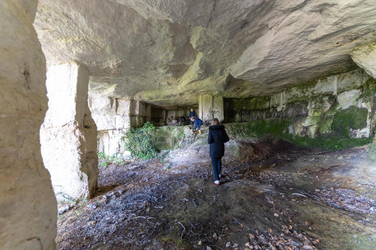 Logis De Bois Roche Villa Saint-Bonnet-sur-Gironde Kültér fotó