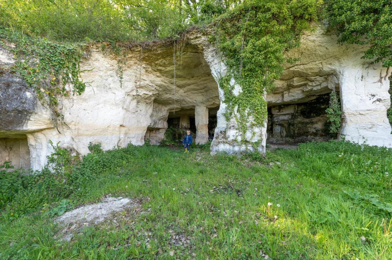 Logis De Bois Roche Villa Saint-Bonnet-sur-Gironde Kültér fotó