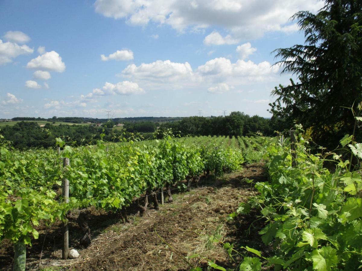 Logis De Bois Roche Villa Saint-Bonnet-sur-Gironde Kültér fotó