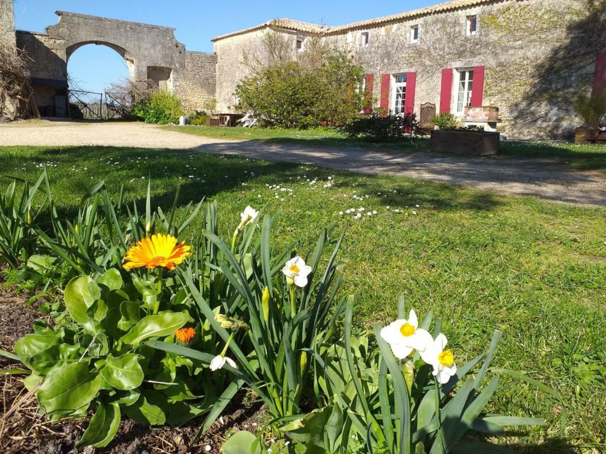 Logis De Bois Roche Villa Saint-Bonnet-sur-Gironde Kültér fotó