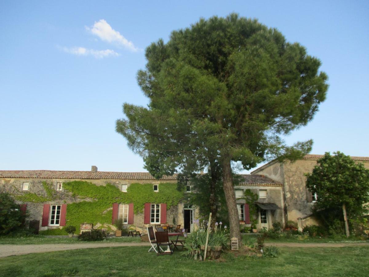 Logis De Bois Roche Villa Saint-Bonnet-sur-Gironde Kültér fotó