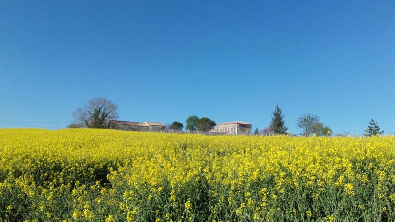 Logis De Bois Roche Villa Saint-Bonnet-sur-Gironde Kültér fotó